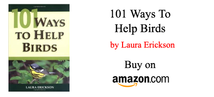 ways-to-help-birds