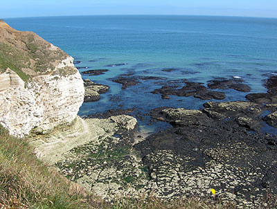 flamborough2.jpg